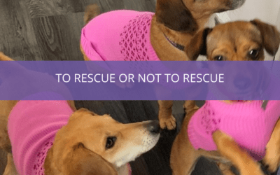 To Rescue or Not to Rescue