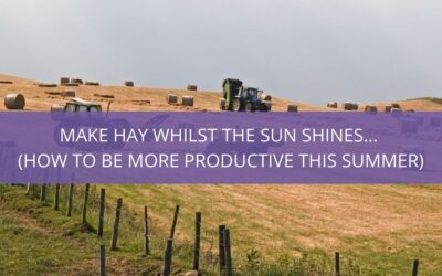 Make hay whilst the sun shines…