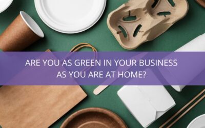 Can you be more sustainable with your small business?